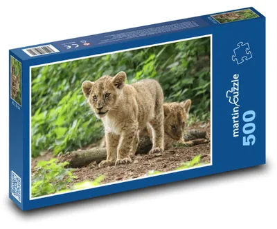 Obrázok produktu pre Puzzle 500 Malé levíčatá v prírode - martinpuzzle