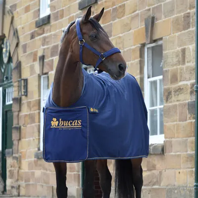 Image de Glacière de prix Bucas Panel - Marine/Or