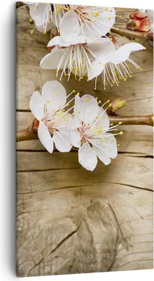 Produktbild von Bild auf Leinwand - Leinwandbild - Blume Stängel - 45x80cm - Wand Bild - Wanddeko - Wandbilder - Leinwanddruck - Bilder - Kunstdruck - Wanddekoration - Leinwand bilder - Wandkunst - PA45x80-3537