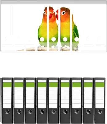 Produktbild von Wallario 9 Stück breite Ordner inkl. Klebeetiketten mit Motive Papageien auf dem dünnen Ast -  Set mit Rückenschildern / Ordnerrücken Stickern