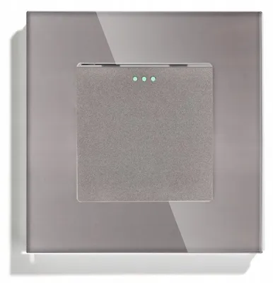 Produktbild von DC Smart Home Primo Glas Einzel Wippschalter Grau