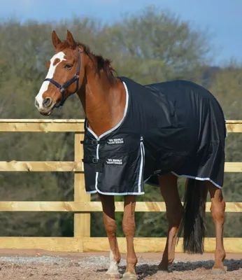 Productafbeelding van Paardendeken - Regendeken paard - Paard beschermen - Ripstop stof - 160cm - 213cm - Zwart