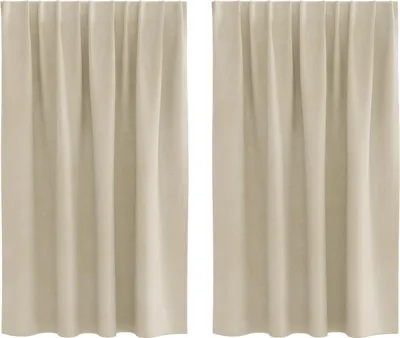 Immagine prodotto di vidaXL Tende oscuranti, 2 pezzi, color crema, 140 x 140 cm, in velluto