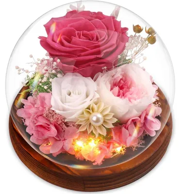 Immagine prodotto di Rosa eterna in vetro, con base in legno e confezione regalo