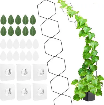 Productafbeelding van Kettingspalier voor klimplanten - 18 stuks plantenrankensteun met plantenklemmen en haken
