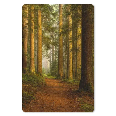 Obrázok produktu pre Podložka pod myš - Les - Príroda - Stromy - Krajina - Listy - 18x27cm - Rohožka pod myš