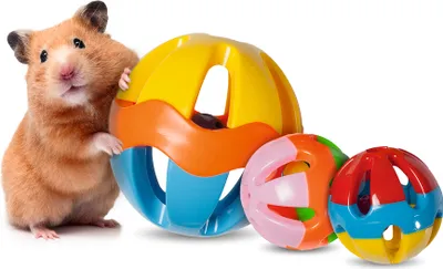 Produktbild von Karlie Wackelball - Nagerspielzeug - Kunststoff - Mehrfarbig - 7,5 cm