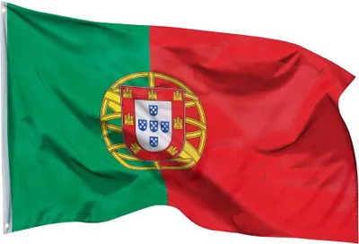 Image de PHENO FLAGS Drapeau du Portugal 90 x 150 cm Drapeau national portugais