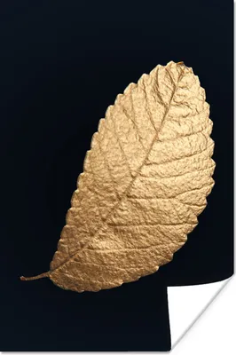 Produktbild von MuchoWow® Poster Gold - Blätter - Schwarz - Pflanzen - Luxus - Natur 80x120 cm - Papierdruck