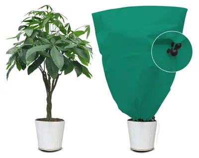 Produktbild von Winterschutz für Pflanzen 60x80cm Grün Vlies mit Zugband