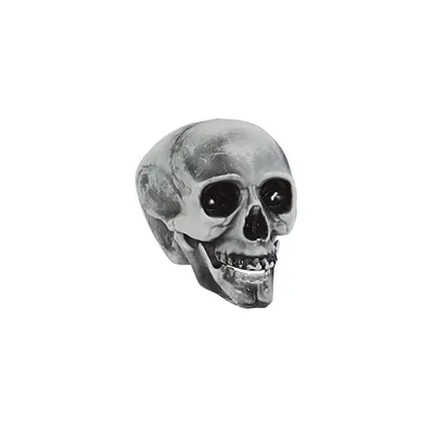 Zdjęcie produktu dla Czaszka PVC 20 CMS
