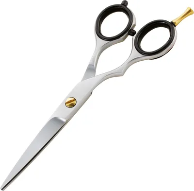 Produktbild von Iwasaki Easy Offset 5.5" LEFT
