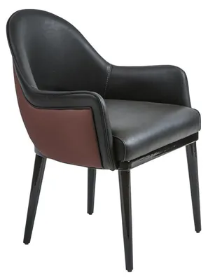 Produktbild von Schwarz Stuhl mit Armlehnen Modern Esszimmer Luxus Einrichtung Polstersitz