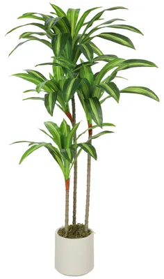 Productafbeelding van HOMCOM Kunstplant Dracaena, 120 cm, met buigzame stelen