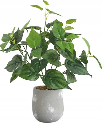 Produktbild von Künstliche Topfpflanze Philodendron 38 cm für Home Office