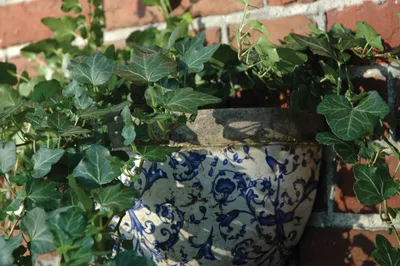 Produktbild von Esschert Design Aged Ceramic Wandhalbschale; AC04