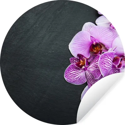 Produktbild von MuchoWow® Runde Wandtattoo - Wandsticker Tapete Aufkleber Orchidee - Blumen - Rosa - Flora Ø 80 cm Selbstklebend und Repositionierbar - Wandaufkleber - Kreis - Mauerkreis - Wand Bilder - Wandsticker - Wohnzimmer Dekoration - Dekoration für die Wände - Aluminium - Babyzimmer
