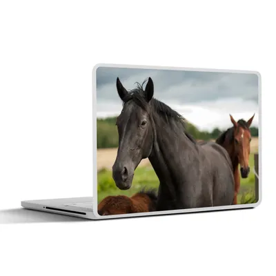Produktbild von MuchoWow® Laptop Aufkleber Sticker Cover Pferde - Wiese - Schweden 25x18 cm - Laptop-Deko