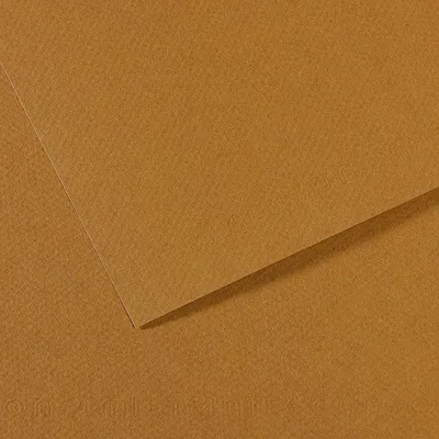 Zdjęcie produktu dla Papier na pastel CANSON Mi-Teintes A4 / 160 g/m² – 50 arkuszy - Piaskowy 336