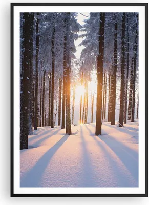 Produktbild von Gerahmtes Poster - Schwarzer Rahmen - Wald Winter Schnee - 70x100 cm - Wand Bild - Wanddeko - Wandbilder - Kunstposter - Wandposter - Bilderrahmen - Bilder - Kunstdruck - Wandbild - P2BPA70x100-3629