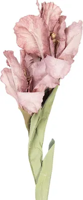 Produktbild von Clayre & Eef Kunstblume 85 cm Rosa Kunststoff