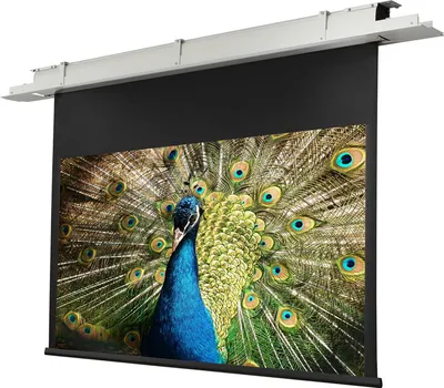 Produktbild von Celexon 1090196, Motorisiert, 140 cm, 2,5 m, 16:9