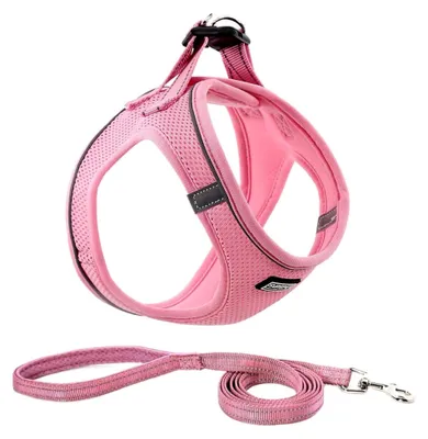 Produktbild von Hundegeschirr mit Leine, Anti-Zug, reflektierendes Brustgeschirr für kleine Hunde, Haustiere, Welpen, Katzen (Rosa, S)