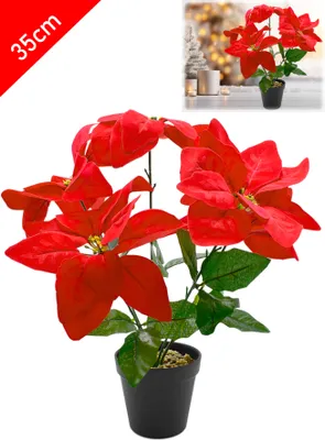 Produktbild von Weihnachtsstern Poinsettie künstlich im Topf Christstern täuschend echte Kunstblume Weihnachtsstern Weihnachten Deko Pflanze 35cm rot