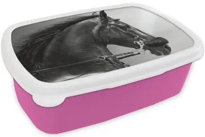 Produktbild von KitchenYeah® Lunchbox Brotzeit Brotdose 17x11 cm Pferde - Schwarz - Porträt - Tiere Kinder Brotzeitdose - Lunchpaket - Brotkasten  - Sandwich Box