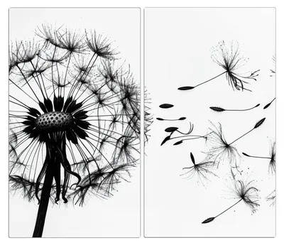 Produktbild von Spritzschutz Herdabdeckplatte Schneidebrett aus Glas Pusteblume 2-Teilig (60x52cm)