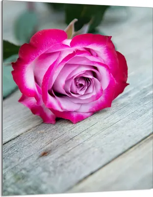Produktbild von Herdabdeckplatte 40x52 Glaskeramikkochfeld Abdeckung Spritzschutz Glasplatte Deko Schneidebrett, Rose Holz