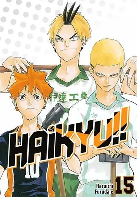 Obrázek produktu pro Haikyu!!! Svazek 15