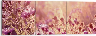 Produktbild von Bild auf Leinwand - Leinwandbild - 3 Teile - Wiese Blumen Sonne - 150x50cm - Wand Bild - Wanddeko - Wandbilder - Leinwanddruck - Bilder - Wanddekoration - Leinwand bilder - Wandbild - CA150x50-4819