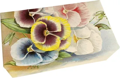 Produktbild von Geschenkseife "Pastell Frühling" mit Veilchenduft, 200 g