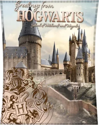 Obrázok produktu pre Detská deka Harry Potter Hogwarts