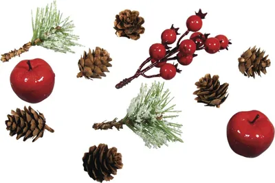 Immagine prodotto di Rayher 55918000 Rayher Dekoartikel mehrfarbig Mix mit Äpfeln und Beeren 11-tlg.