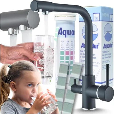 Produktbild von 3-Wege Küchenarmatur Venom mit Wasserfilter-Anschluss, herausziehbare Brause, 360° schwenkbar, getrennte Wasserwege, Keramikkartusche Schwarz-Chrom