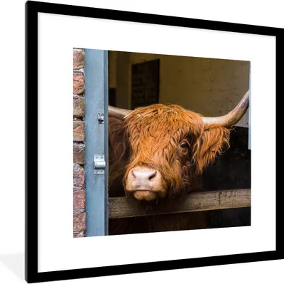 Produktbild von MuchoWow® Gerahmtes Poster Schottischer Highlander - Bauernhaus - Scheune 40x40 cm - Poster mit Schwarzem Bilderrahmen Wandposter Rahmen Foto Bilder - Poster - Plakat im Rahmen