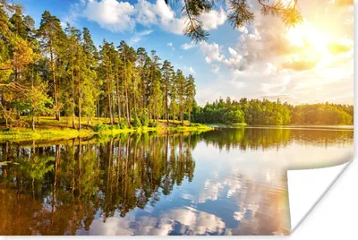 Produktbild von MuchoWow® Poster Wasser - Bäume - Natur 90x60 cm - Schlafzimmer