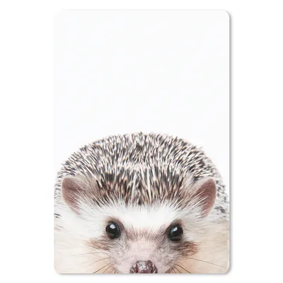 Produktbild von MuchoWow® Mauspad Mousepad Igel - Tiere - Natur - Weiß 18x27 cm - Mousepads - Maus Mat - Pad - Mausunterlage