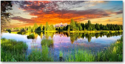 Produktbild von Tulup® Leinwandbild - 140x70 cm - Wandkunst - Drucke auf Leinwand - Leinwanddruck  - Landschaften - Mehrfarbig - Fluss im Wald