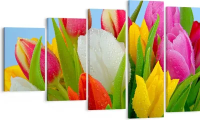 Produktbild von Bild auf Leinwand - Leinwandbild - Tulpen Blumenstrauß Blumen Tau - 100x60cm - Wand Bild - Wanddeko - Leinwanddruck - Bilder - Kunstdruck - Wanddekoration - Leinwand bilder - Wandkunst - EG100x60-2526