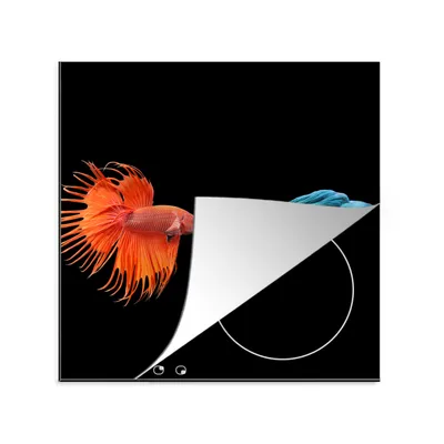 Produktbild von KitchenYeah© Herdabdeckplatte Fische - Wilde Tiere - Schwarz , 78x78cm, Küche Deko, Glaskeramikkochfeld Herdabdeckung, Abdeckplatte fùr Kochfeld