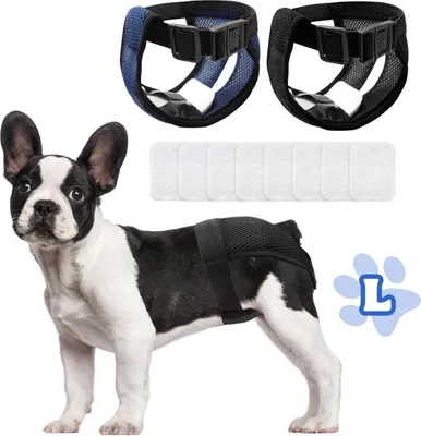 Produktbild von 2er Pack Hundewindeln Wiederverwendbare Läufigkeitshose für Hündinnen Verstellbare Schutzhose Waschbare Schutzhose Schwarz Blau