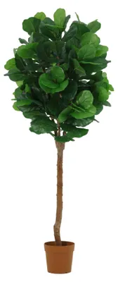 Produktbild von Künstlicher Ficus lyrata Baum 180cm Geigenfeige dekorative Kunstpflanze für Wohnzimmer Büro Flur pflegefreie große Wohnraum Deko moderne grüne Kunstpflanze