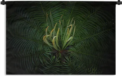 Produktbild von MuchoWow® Wandteppich Wandbehang Eine blühende Cycas-Pflanze auf schwarzem Hintergrund 120x80 cm Tapisserie Dekoration Wandtuch - Wanddekorationen - Wandtücher