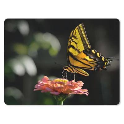 Produktbild von MuchoWow® Mauspad Mousepad Schmetterling - Botanisch - Blume 40x30 cm - Mousepads - Maus Mat - Pad - Mausunterlage - Anti Rutsch