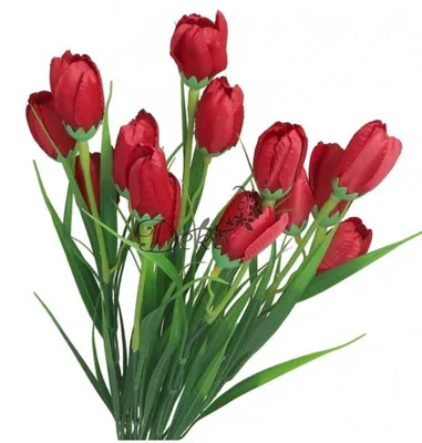 Image de Bouquet De Fleurs Artificielles : Branches, Crocus Dans L'herbe, 44 Cm