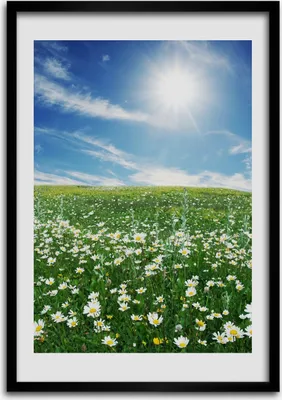 Produktbild von Bild - Bilderrahmen - Foto - 70 cm x 100 cm - MDF - Rahmen - Wandkunst - Wiese
