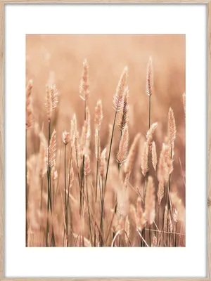 Produktbild von STYLER Wandbild 50x70 cm Grasses Pflanzenbild Naturbild Modernes Kunstbild Wanddeko Wohnzimmer Schlafzimmer Rahmen Dekoration